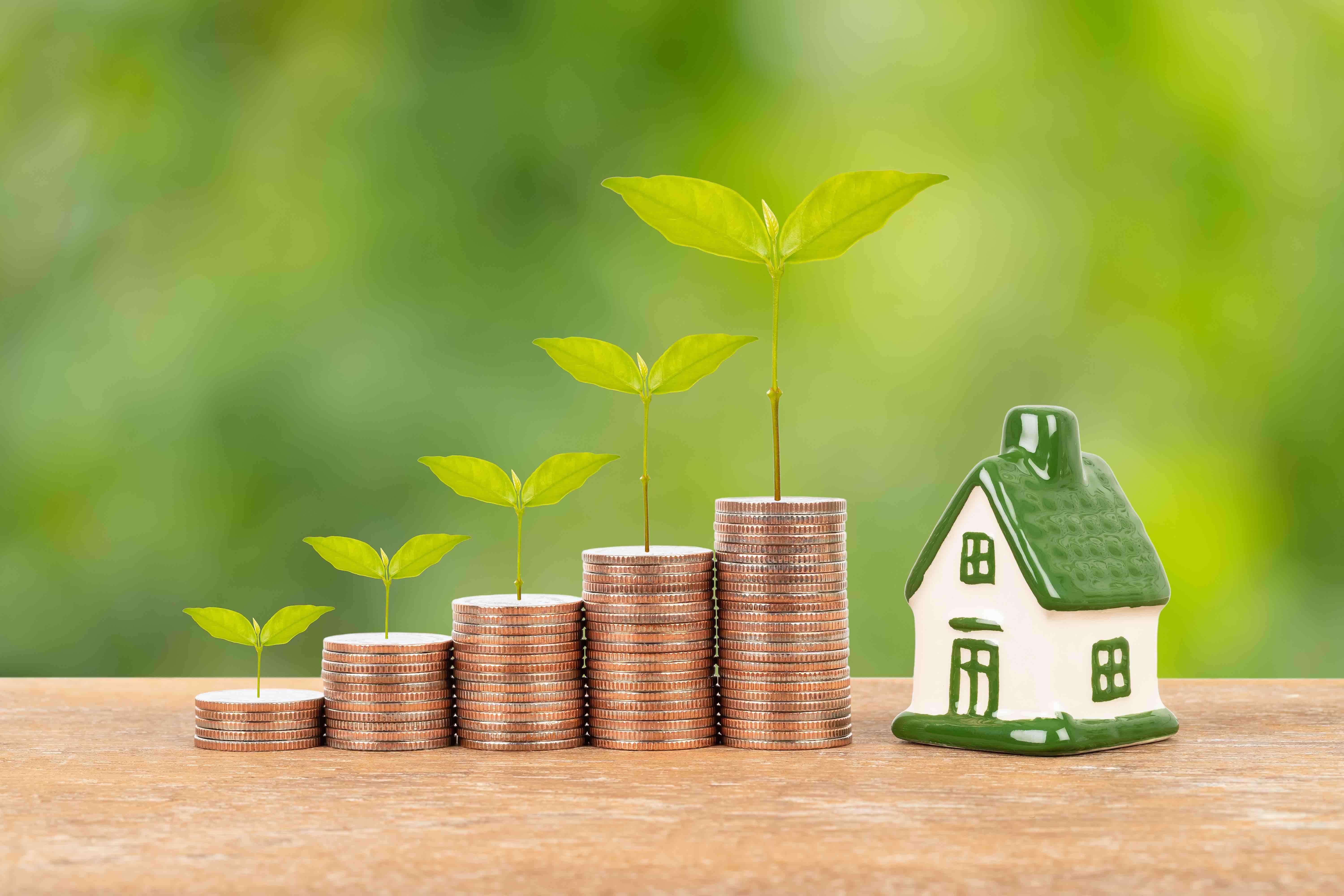 Programme immobilier neuf 83250 Londe-les-Maures Déficit foncier La Londe-des-Maures 10648